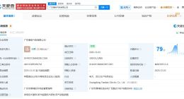 粤电力A成立气电公司 注册资本3000万