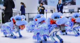 荣耀全明星产品阵容亮相中国电信2025数智科技生态大会