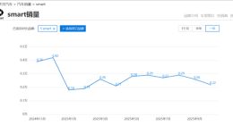 smart越大，销量越差？ CEO曾拒价格战，如今降价又刺老车主