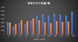 增长神话暂停，理想“尖子生”光环失效？