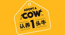 “认养一头牛”喝出黑色异物，此前被证监会问询非法集资及传销