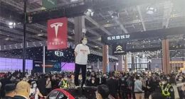 特斯拉申请限消“车顶维权”女车主，17.23万赔偿案进入强制执行阶段