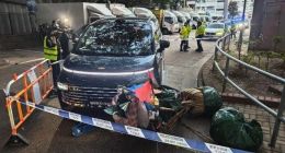 全球预售首日出意外，挂试车牌“吉利银河V900”在港撞飞清洁工