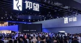 三年跌宕：仰望“高开低走”，王传福高端梦路在何方？