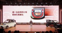 QQ冰淇淋、小蚂蚁连跌多年，章红玉能否重振奇瑞小车线？