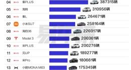 2025新能源车销量TOP20出炉：比亚迪9款霸榜，小米成最大黑马