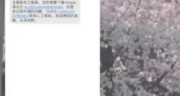 苹果谷歌AI联姻 分析师：有两大原因迫使苹果这么做