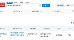 绿地地产被冻结37.1亿股权 绿地地产所持37.1亿股权被冻结
