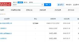 新东方总顾问陈行甲商业版图盘点 陈行甲在3家基金会任职