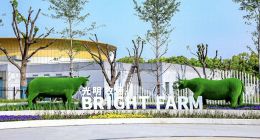 光明乳业预亏最高1.8亿元，此前还身陷“高估值”收购质疑困局