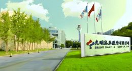 “被动收购”小西牛，“海外输血”新莱特，光明乳业走向何方？