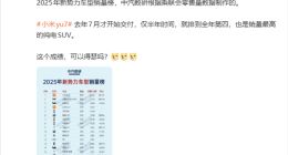 小米YU7仅半年跻身年度第四，成纯电SUV销冠，雷军发文“凡尔赛”