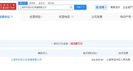 RNG关联公司被执行42.5万 RNG关联公司被执行