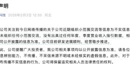 寒武纪股价跌超10%，发布严正声明