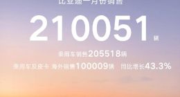 比亚迪销量暴跌30%，车圈的恒大时刻？