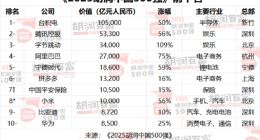 2025胡润中国500强发布：台积电蝉联第一！小米首次进入前十