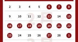 2026年寒假未成年人游戏限玩日历来了：最多可玩15个小时