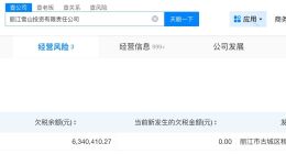 李亚鹏公司欠税634万被公告 李亚鹏公司因欠税被公告