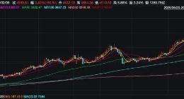 马斯克“点火”，重估中国光伏？