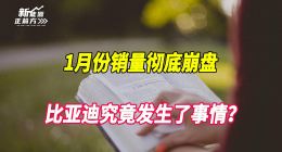 销量崩盘，一年前的预言不幸