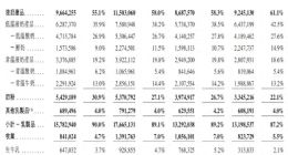 左手高负债、右手狂分红，君乐宝赴港IPO的阳谋