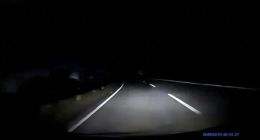 智能化再现“安全漏洞”，领克Z20“语音关灯”翻车