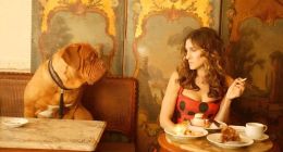 Soul四次递表背后：一个羊头与狗肉的故事