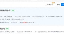 虽然打不了螺丝，但人形机器人们依然想“上岸”