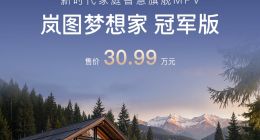 30万级唯一华为智驾MPV 岚图梦想家冠军版上市：30.99万