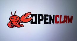 “养虾热”之下的冷思考