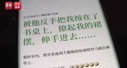 小红书存在大量儿童软色情内容：给未成年用户推送色情擦边小说、图片，互动夹带猥亵内容，甚至纸尿裤推送也“擦边”