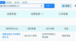 赵薇所持190万股权再被冻结 赵薇再被冻结190万股权