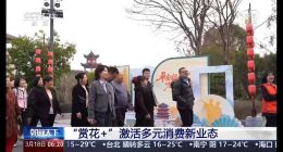 亮相央视！平安旅居养老标杆基地，定义春日养老新方式