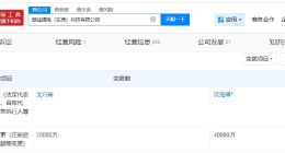 赣锋锂业旗下东莞锂电科技公司增资至4亿 增幅100%