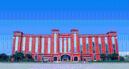 创新产品带动年度利润同比增长近两成！汤臣倍健是如何做到的？