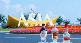 博鳌+世界杯，五粮液如何演绎高端白酒的全球化叙事？