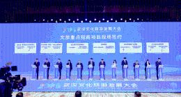 华中首家！爱奇艺乐园将落地武汉