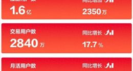 途虎新财报数据亮眼，为何资本市场不看好？