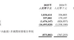 “港股GPU第一股”壁仞科技2025年收入同比增长207%，股价开涨
