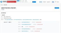 姚振华及宝能等被执行约11亿