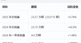 坦克的困局：销量增长乏力，长城汽车最赚钱的生意凉了