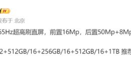 疑似一加Ace 6至尊版细节曝光：采用1.5K 165Hz高刷屏＋天玑9500旗舰芯