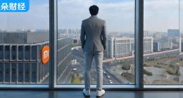 市值暴跌7000亿、联合创始人接连退出，小米经历了什么？