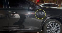 新买凯迪拉克“爬满白斑”？相关部门介入调查，沪上4S店又被质疑“签名造假”