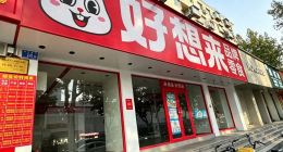 万辰集团“姑侄组合”首次交卷：利润向左，管理向右