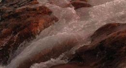 央视曝光半月后，董宇辉们还在带货，“法不责辉”还能持续多久？