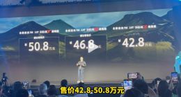 全新坦克700正式上市：售价42.8万起