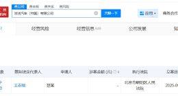 法拉第未来中国公司近一年多次增资 法拉第未来中国公司今年被限消