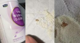 君乐宝奶粉吃出虫子，调换后又发现虫卵，涉事门店：有事找厂家
