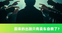 别再怪李斌了，2026他只想卖车活下去